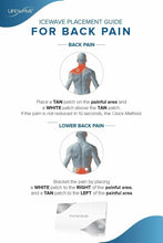 Natural Pain Release Negative Energy IceWave Patches Whole Body Wellness (30 Patches)