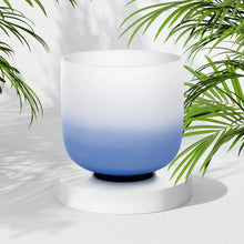 432hz Chakra Crystal Singing Bowls Set (Includes Carrying Bags, 2 Pcs Suede Sticks Rubber Mallets)